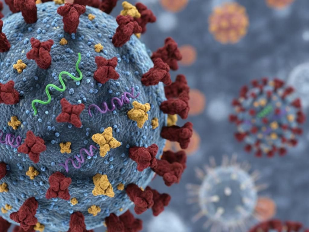 influenza H3N2 subclade K di Indonesia