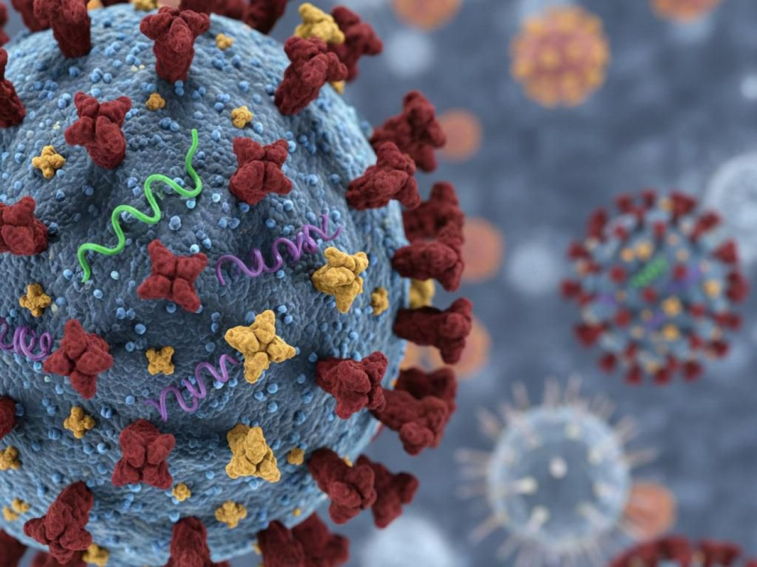 influenza H3N2 subclade K di Indonesia